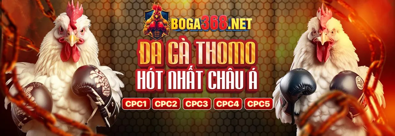 HM88 Link Vào 2026: Khuyến Mãi Chính Thức & Ưu Đãi Độc Quyền